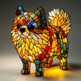 Simba | Pomerânia Resplendor Solar
