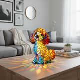 Poodle Sentado
